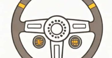 What Is Steering Wheel Gearshift Paddles