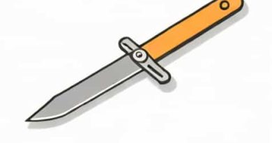 What Is The Definition Of A Switchblade