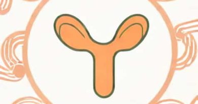 What Is The Function Of Fallopian Tube