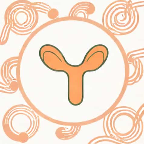 What Is The Function Of Fallopian Tube