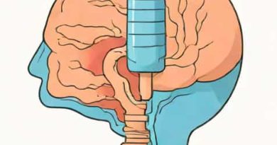 What Is The Function Of The Epiglottis