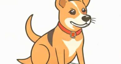 Will A Skittish Dog Always Be Skittish