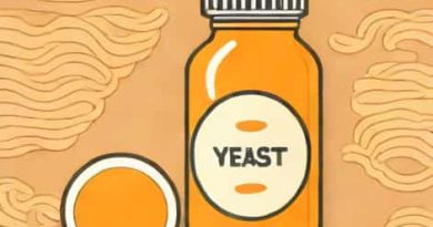 Yeast Extract Is An Excellent Source Of