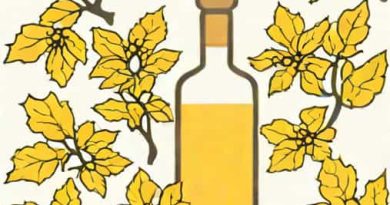 Alcohol Free Witch Hazel