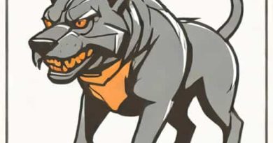 Cerberus Snapshot Stage 3