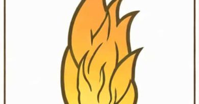 Example Of Incipient Fire