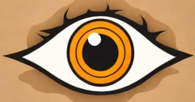 Eye Of The Sandstorm Botw