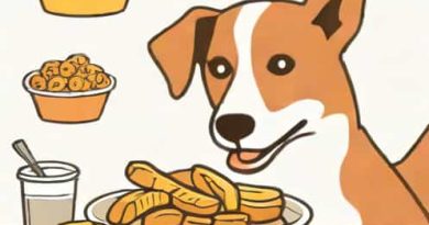Food Indiscretion In Dogs