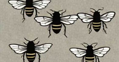 Four Flies On Grey Velvet