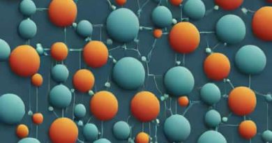 Function Of Lipid Bilayer