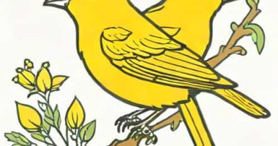 How Do You Spell Canaries
