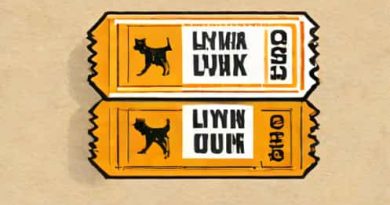 How Much Are Lynx Tickets