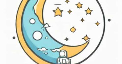 How Much Is Moon Animator