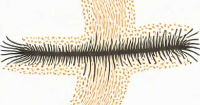 Ingrown Hair Scabbed Over