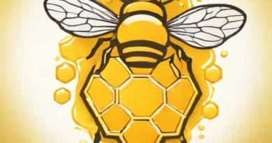 Is Pure Honey Crystallize