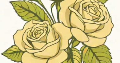 Ivory Majolica Spray Rose