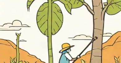 Jack And His Giant Stalk