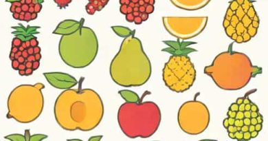 Know Them By Their Fruits