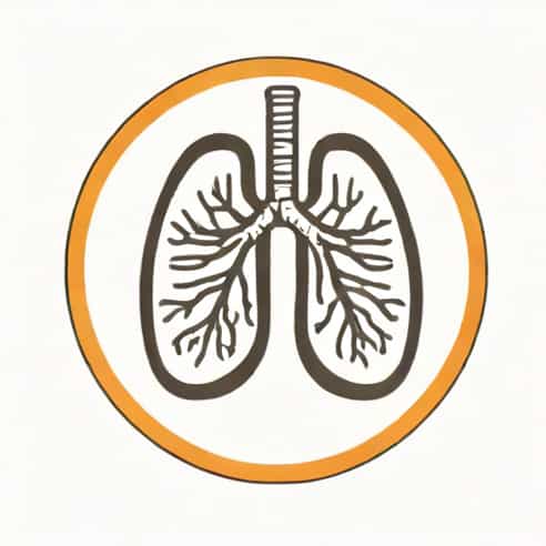 Lungs Inflate And Deflate
