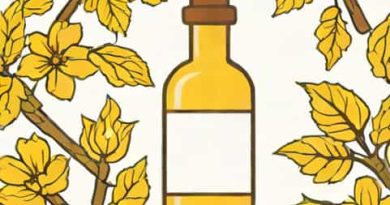 Non Alcoholic Witch Hazel