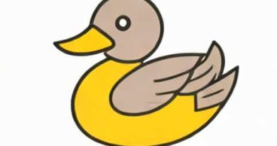Quacks Like A Duck Saying
