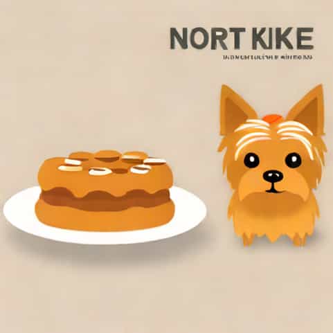 Que Puede Comer Un Yorkie