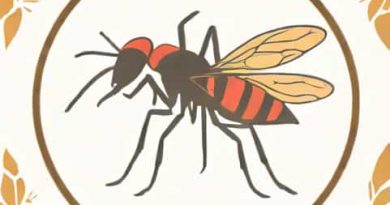 Que Sintomas Da El Dengue
