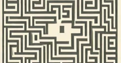Ral And The Implicit Maze