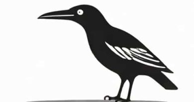 Rook Matthews Sayer Amble
