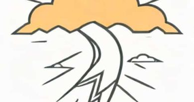 Snaa Thunder Incise Grace