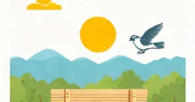 Sun Outdoors Pigeon Forge