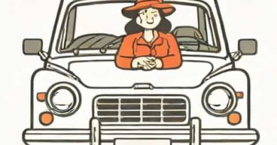 The Madwoman In The Volvo