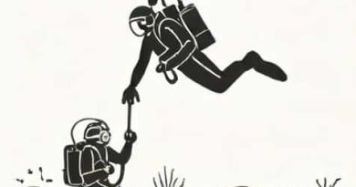 The Paria Diving Incident