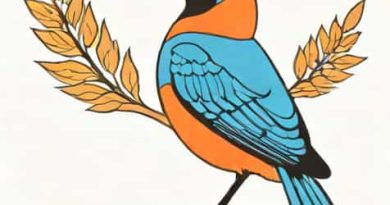 Tui Cyprus Louis Phaethon