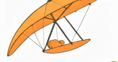 Used Hang Glider For Sale