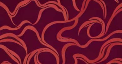 Velvet Fabric By The Yard