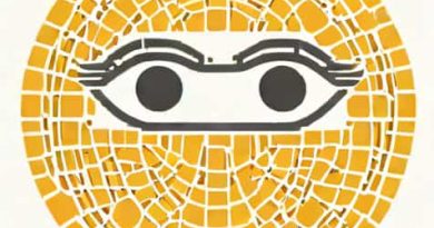 Vep In Cortical Blindness