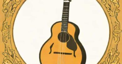 Vintage Mandolin For Sale