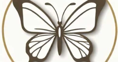 Vinyl To Pimp A Butterfly