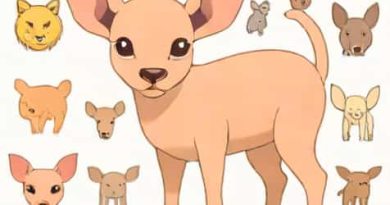 What Animals Are Hairless