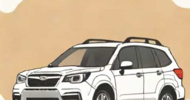 What Is A Subaru Forester