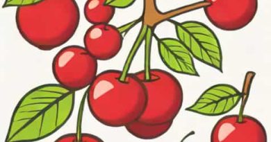What Is Cherries Jubilee
