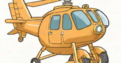 What Is Chopper One Piece