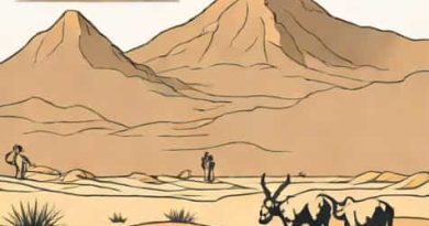 What Is The Atacama Giant