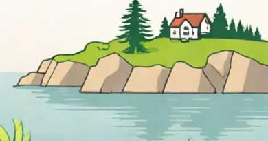 Where Is Flowerpot Island