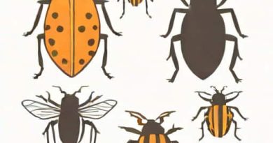 Are Bugs Disgusting