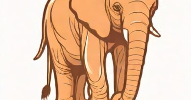 Can Elephantiasis Be Treated