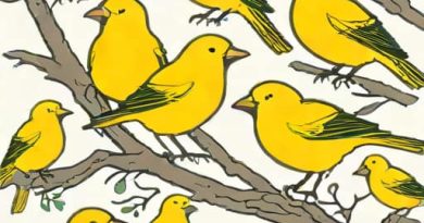 How Many Canaries Died In Mines