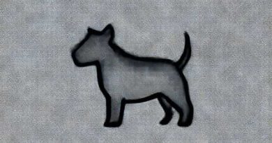 How Much Is A Bull Terrier
