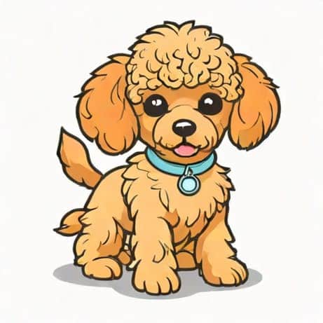 How Much Is A Toy Poodle For Sale